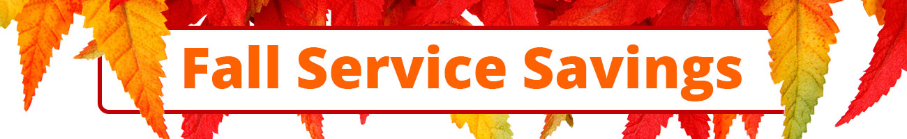 Fall Service Specials